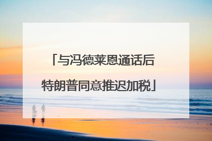 与冯德莱恩通话后 特朗普同意推迟加税