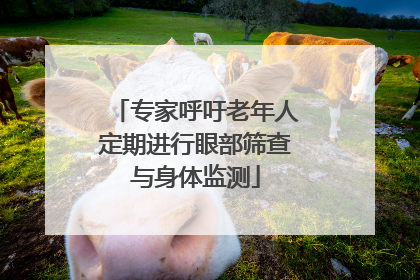 专家呼吁老年人定期进行眼部筛查与身体监测