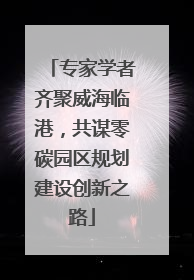 专家学者齐聚威海临港，共谋零碳园区规划建设创新之路