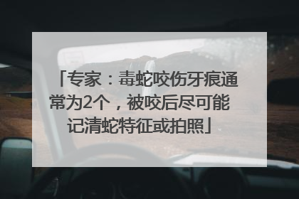 专家：毒蛇咬伤牙痕通常为2个，被咬后尽可能记清蛇特征或拍照