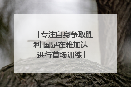 专注自身争取胜利 国足在雅加达进行首场训练