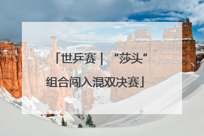 世乒赛｜“莎头”组合闯入混双决赛
