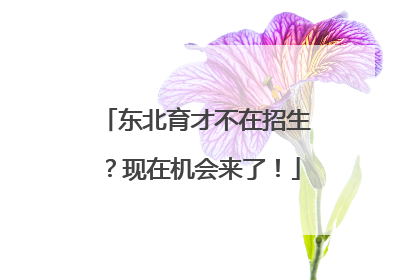 东北育才不在招生？现在机会来了！