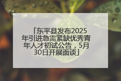 东平县发布2025年引进急需紧缺优秀青年人才初试公告，5月30日开展面谈