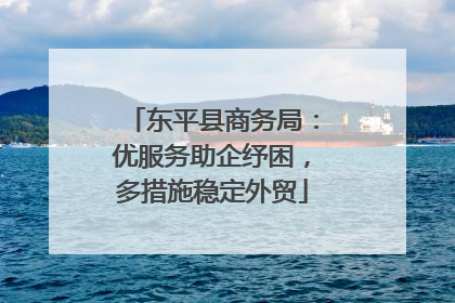 东平县商务局：优服务助企纾困，多措施稳定外贸