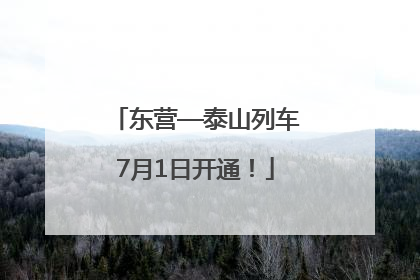 东营—泰山列车7月1日开通！