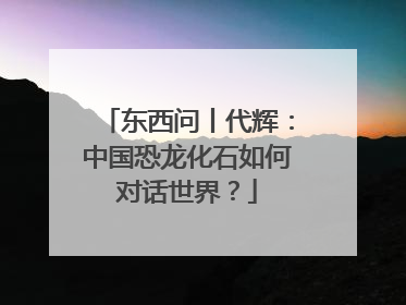 东西问丨代辉：中国恐龙化石如何对话世界？