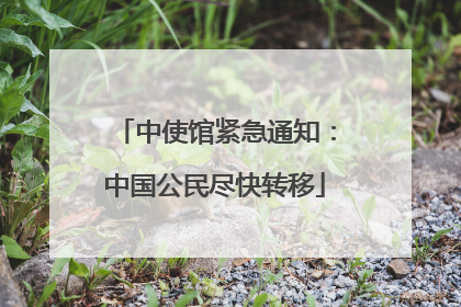 中使馆紧急通知：中国公民尽快转移