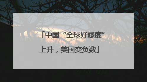 中国“全球好感度”上升，美国变负数