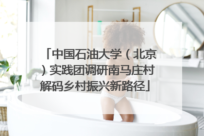 中国石油大学（北京）实践团调研南马庄村解码乡村振兴新路径