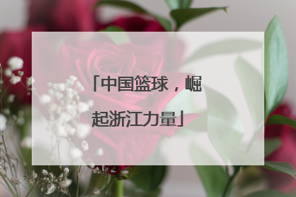 中国篮球，崛起浙江力量