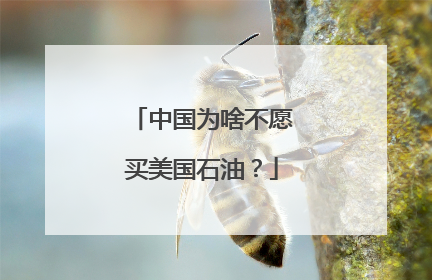 中国为啥不愿买美国石油？