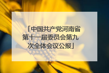 中国共产党河南省第十一届委员会第九次全体会议公报