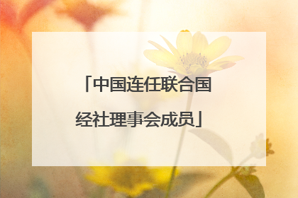 中国连任联合国经社理事会成员