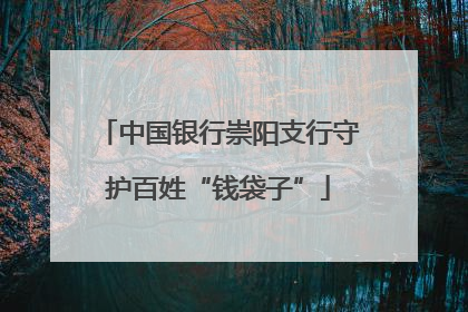 中国银行崇阳支行守护百姓“钱袋子”