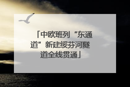 中欧班列“东通道”新建绥芬河隧道全线贯通