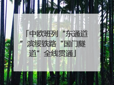 中欧班列“东通道”滨绥铁路“国门隧道”全线贯通