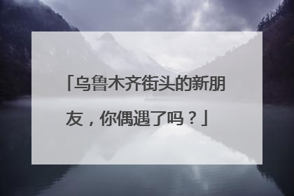 乌鲁木齐街头的新朋友，你偶遇了吗？