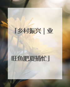 乡村振兴｜业旺鱼肥夏捕忙