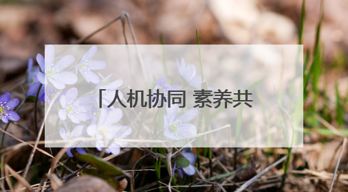 人机协同 素养共生——2025年黄山市屯溪区小学科学主题教研活动纪实