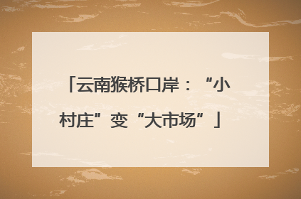 云南猴桥口岸：“小村庄”变“大市场”