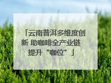 云南普洱多维度创新 助咖啡全产业链提升“咖位”