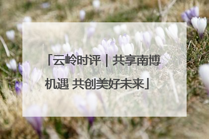 云岭时评｜共享南博机遇 共创美好未来