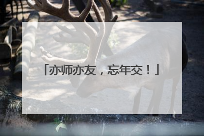 亦师亦友，忘年交！