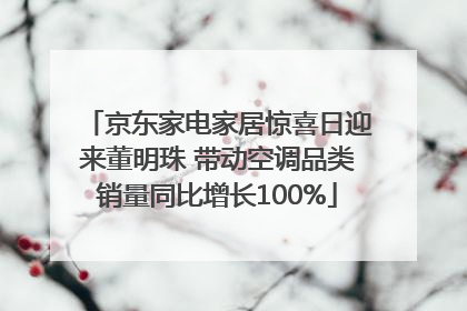 京东家电家居惊喜日迎来董明珠 带动空调品类销量同比增长100%