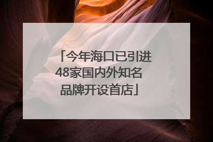 今年海口已引进48家国内外知名品牌开设首店