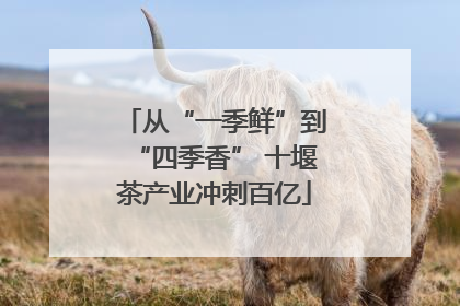 从“一季鲜”到“四季香” 十堰茶产业冲刺百亿