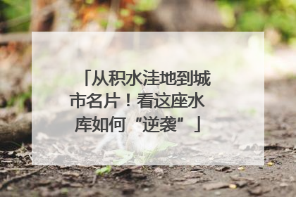 从积水洼地到城市名片！看这座水库如何“逆袭”
