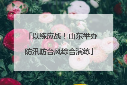 以练应战！山东举办防汛防台风综合演练