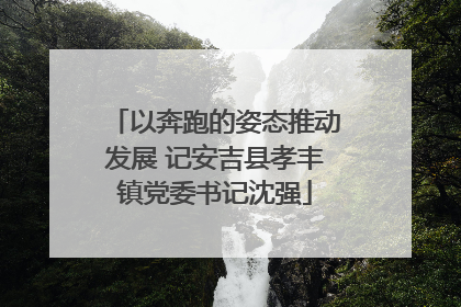 以奔跑的姿态推动发展 记安吉县孝丰镇党委书记沈强