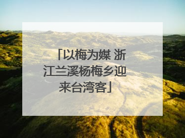 以梅为媒 浙江兰溪杨梅乡迎来台湾客