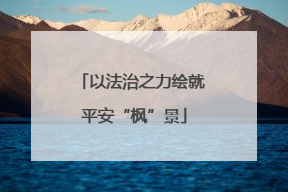以法治之力绘就平安“枫”景