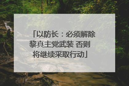以防长：必须解除黎真主党武装 否则将继续采取行动