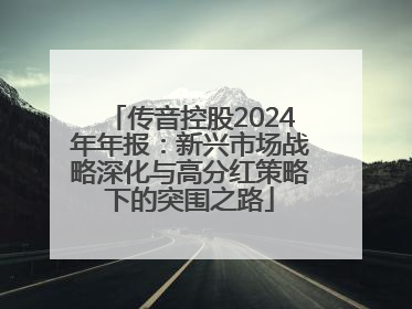 传音控股2024年年报：新兴市场战略深化与高分红策略下的突围之路