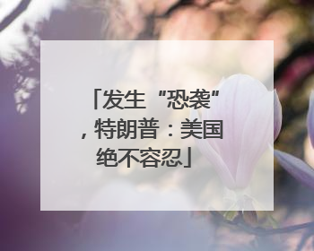 发生“恐袭”，特朗普：美国绝不容忍