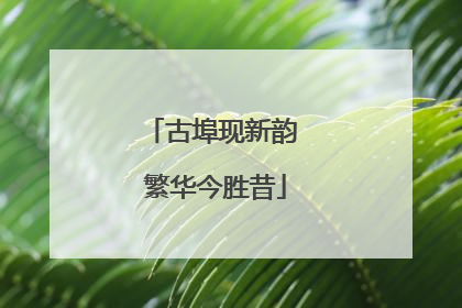 古埠现新韵 繁华今胜昔