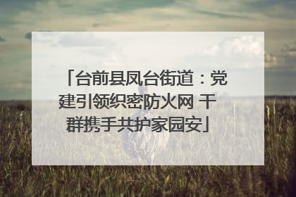 台前县凤台街道：党建引领织密防火网 干群携手共护家园安