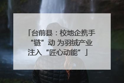 台前县：校地企携手“链”动 为羽绒产业注入“匠心动能”