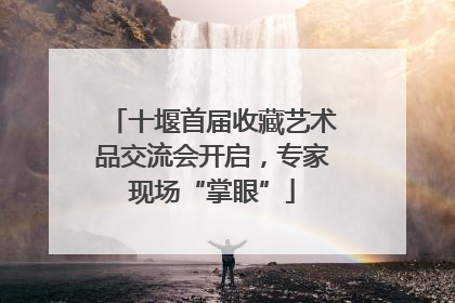 十堰首届收藏艺术品交流会开启，专家现场“掌眼”