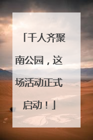 千人齐聚南公园，这场活动正式启动！