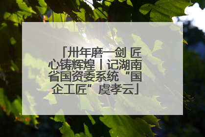 卅年磨一剑 匠心铸辉煌丨记湖南省国资委系统“国企工匠”虞孝云