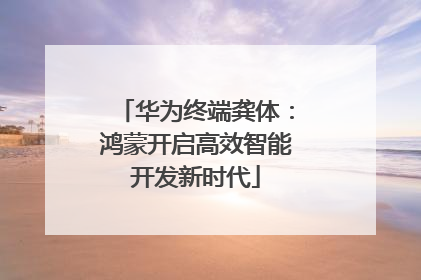华为终端龚体：鸿蒙开启高效智能开发新时代