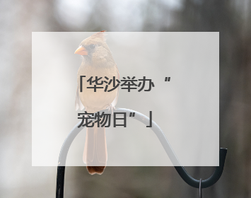 华沙举办“宠物日”