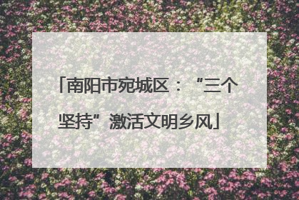 南阳市宛城区：“三个坚持”激活文明乡风