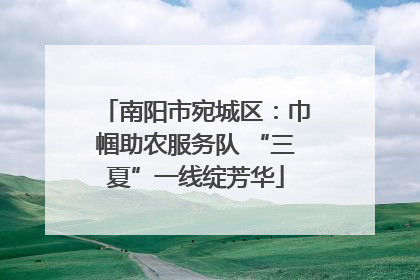 南阳市宛城区：巾帼助农服务队 “三夏”一线绽芳华