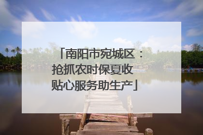 南阳市宛城区：抢抓农时保夏收 贴心服务助生产